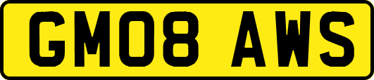 GM08AWS