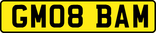 GM08BAM
