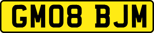GM08BJM