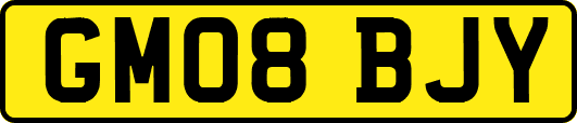 GM08BJY
