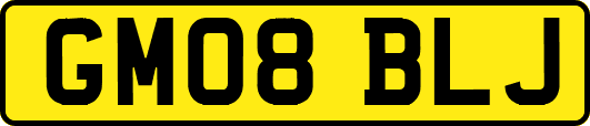 GM08BLJ
