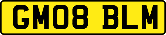 GM08BLM