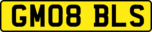 GM08BLS