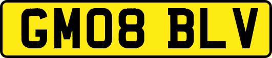 GM08BLV