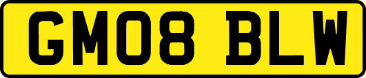 GM08BLW