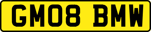 GM08BMW