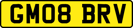 GM08BRV