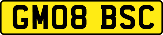 GM08BSC