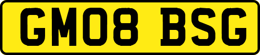 GM08BSG