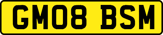 GM08BSM