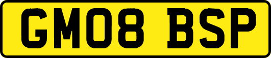 GM08BSP