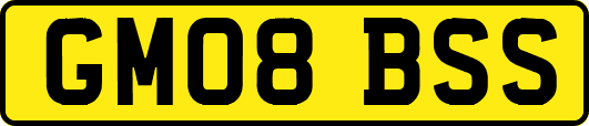 GM08BSS