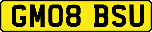 GM08BSU
