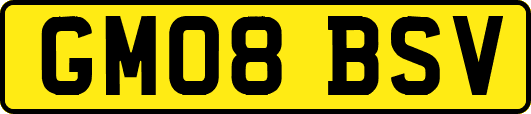 GM08BSV