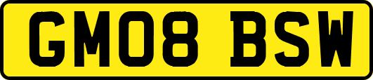 GM08BSW