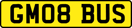 GM08BUS