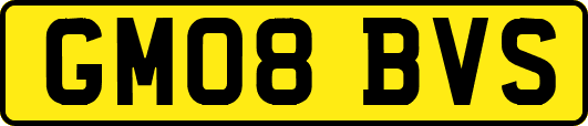 GM08BVS
