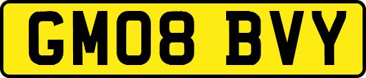GM08BVY