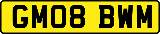 GM08BWM