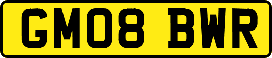 GM08BWR