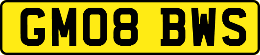 GM08BWS