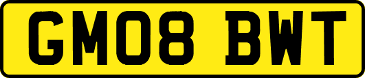 GM08BWT