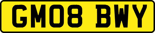 GM08BWY