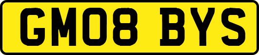 GM08BYS