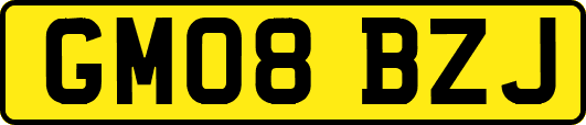 GM08BZJ