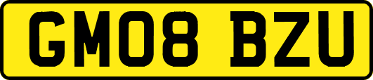 GM08BZU