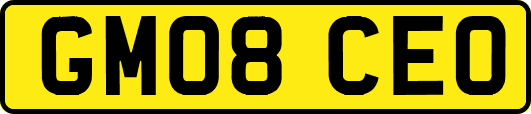GM08CEO