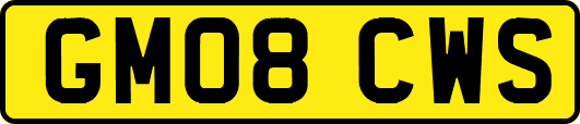 GM08CWS