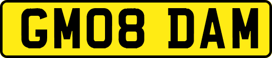 GM08DAM