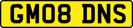 GM08DNS