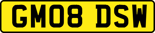 GM08DSW