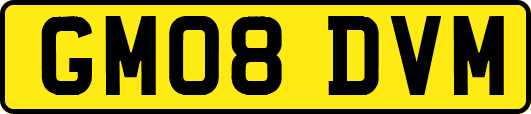 GM08DVM