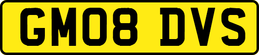 GM08DVS