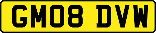 GM08DVW