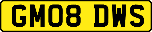 GM08DWS