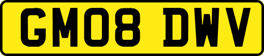 GM08DWV