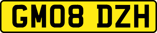 GM08DZH