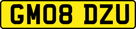 GM08DZU