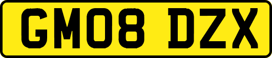 GM08DZX