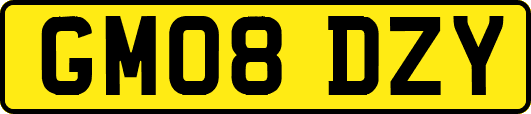 GM08DZY