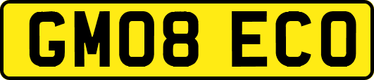 GM08ECO