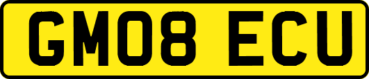 GM08ECU