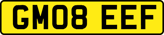 GM08EEF