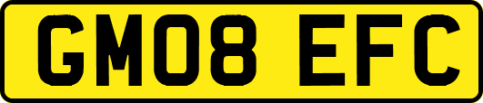 GM08EFC