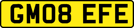 GM08EFE