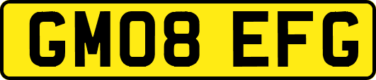 GM08EFG